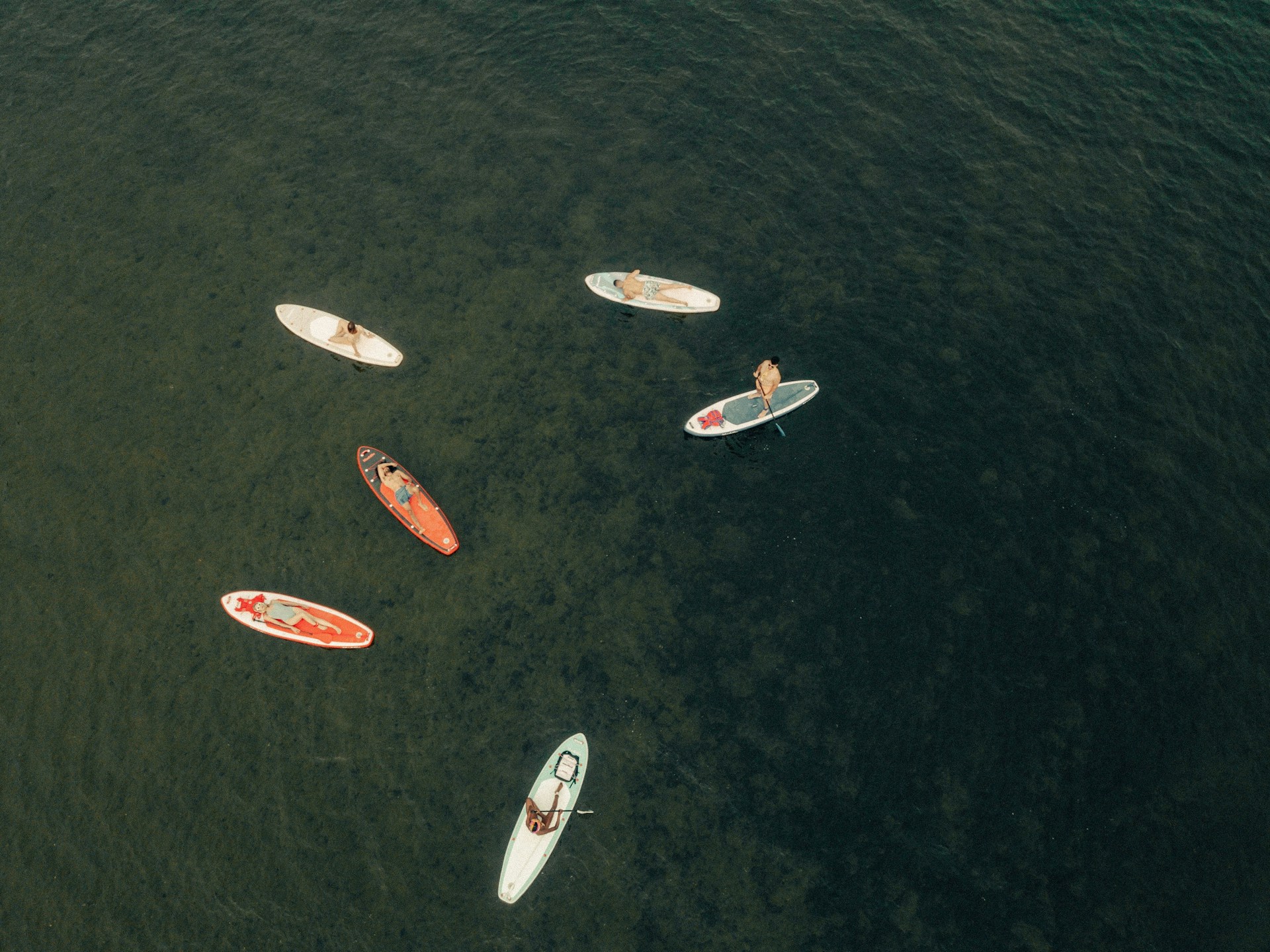 multiple paddleboarders