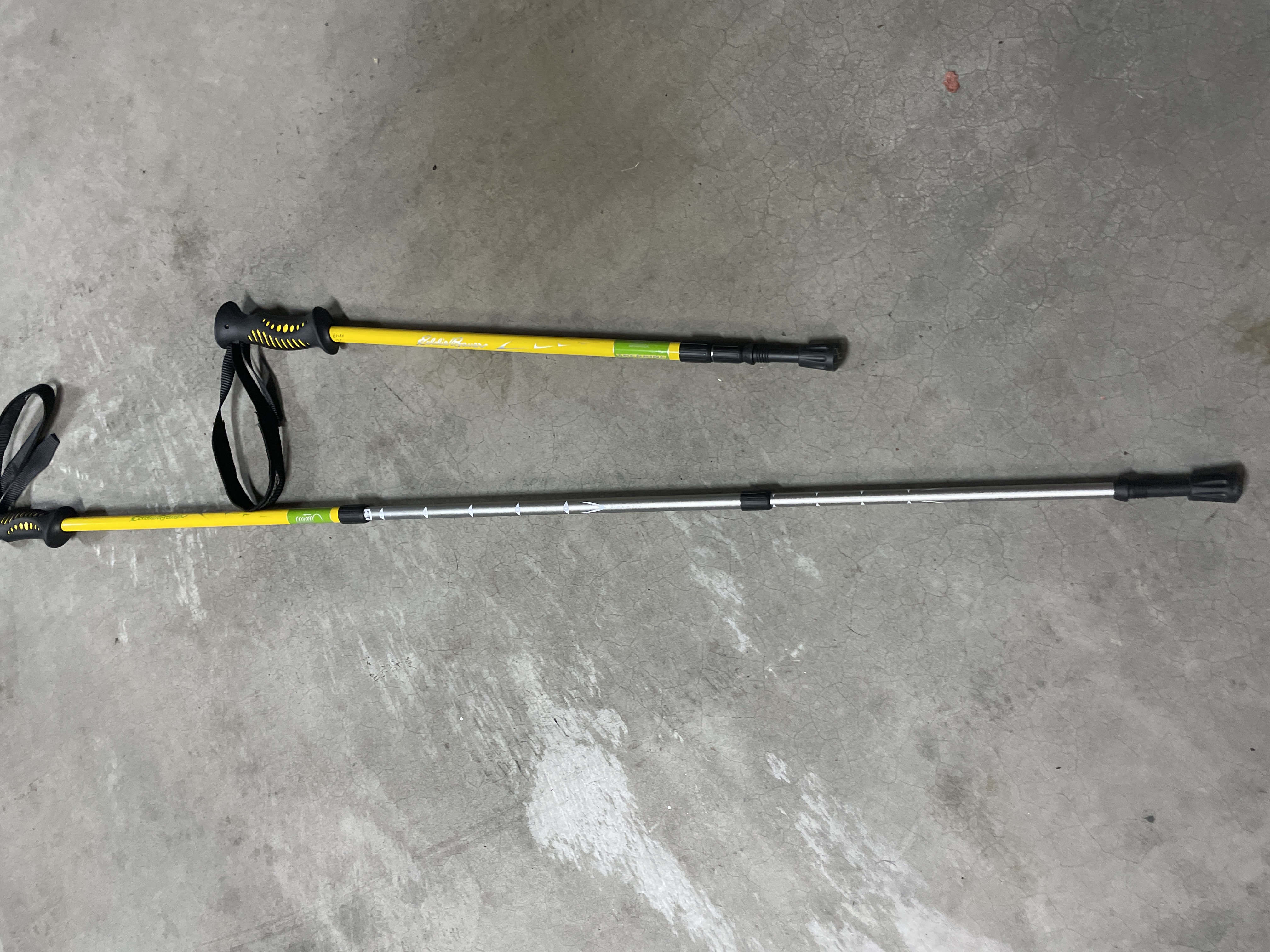 Trekking Pole Rentals Bothell | 