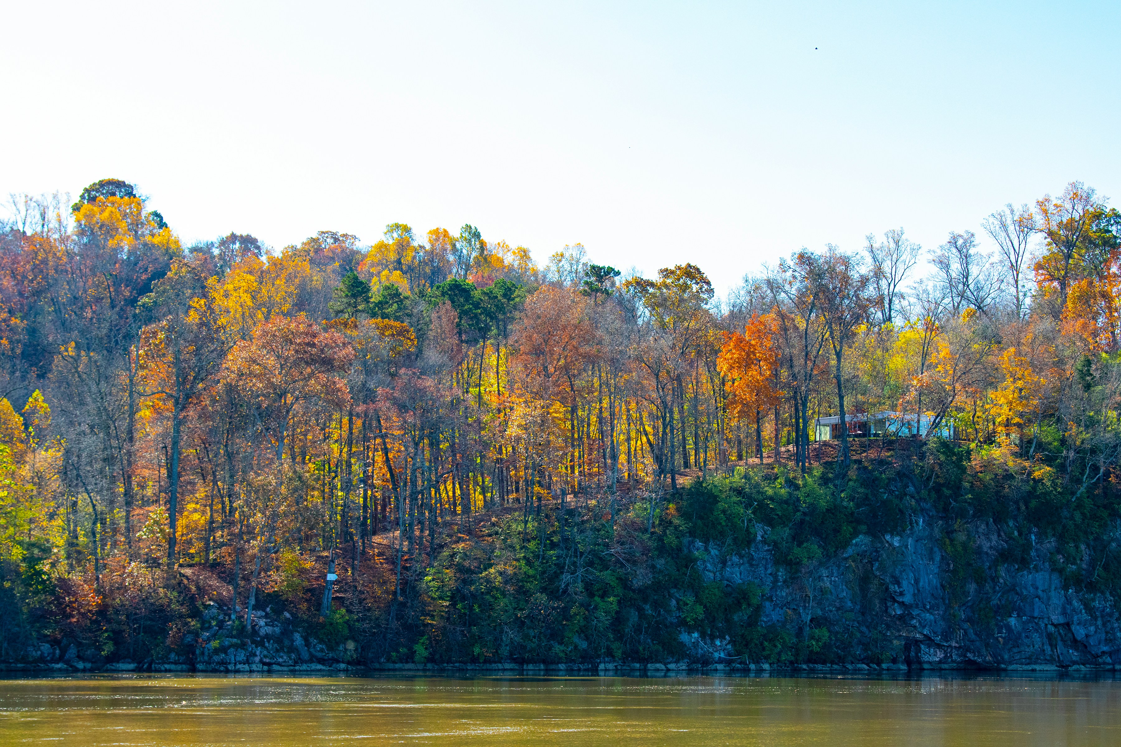 Knoxville | A picture of the knoxville outdoors