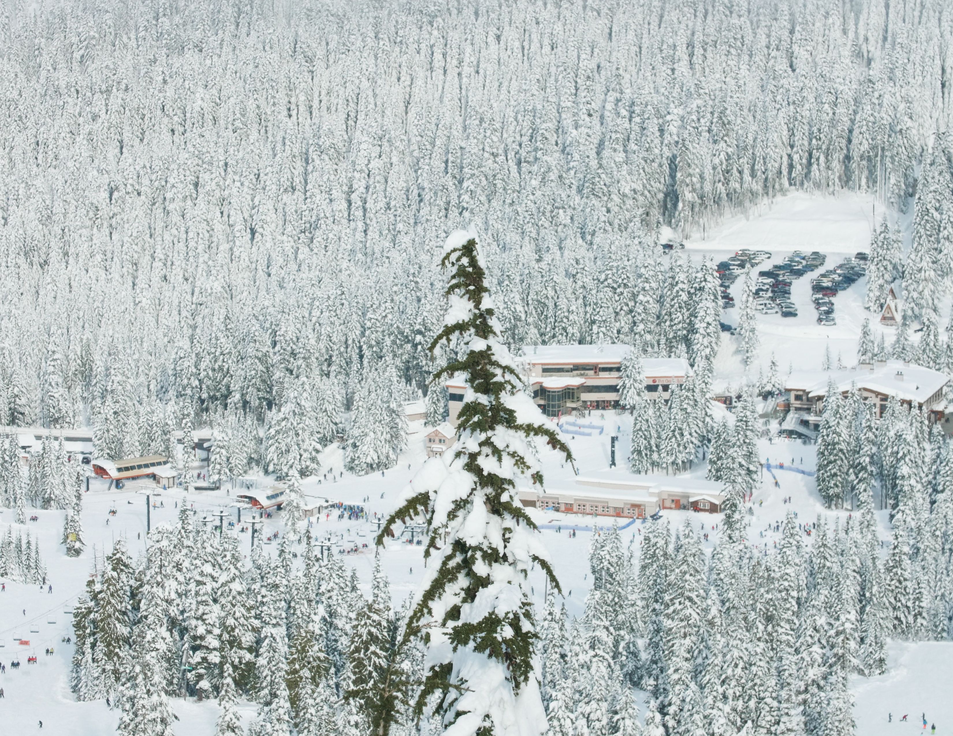 Snowshoe Trails near Stevens Pass Resort