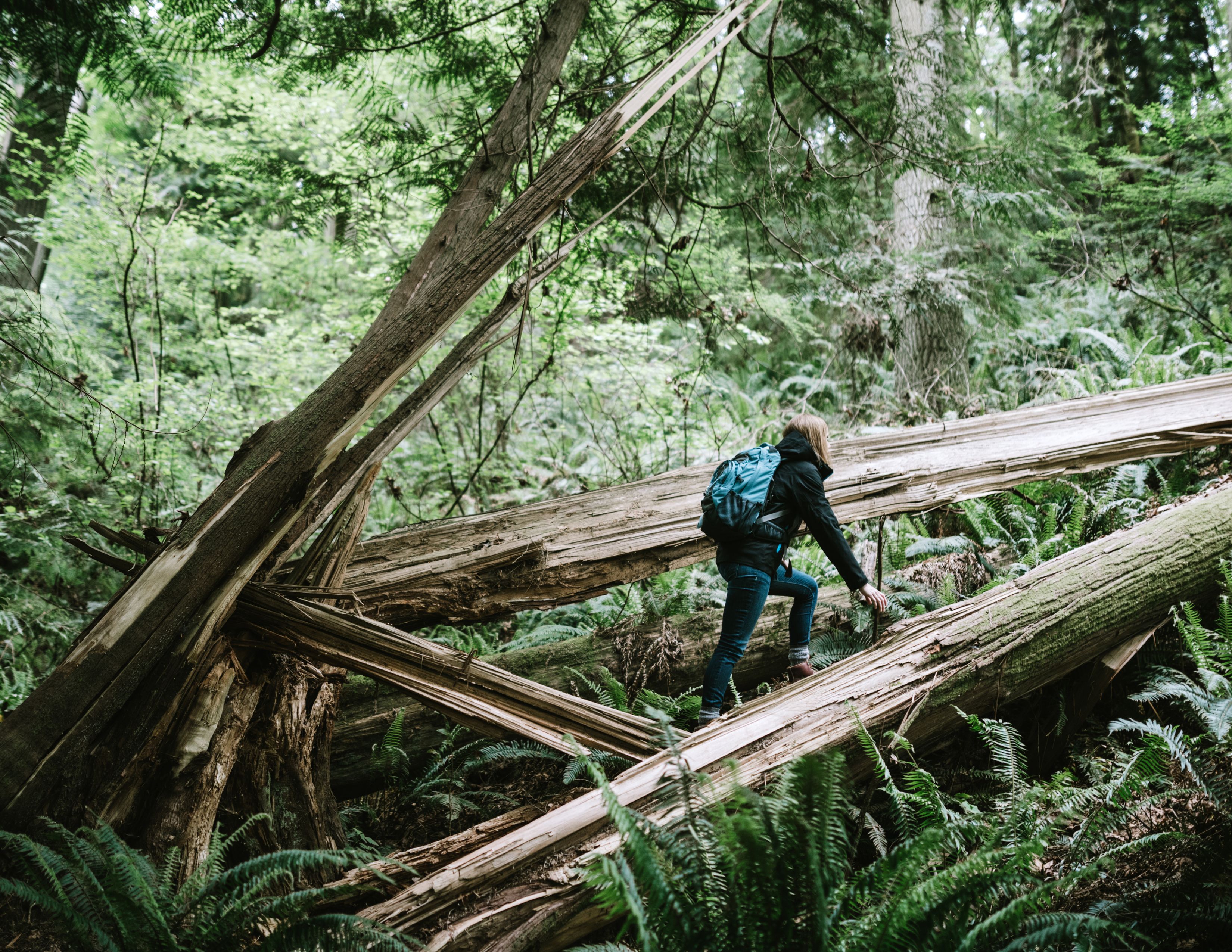 Hikers