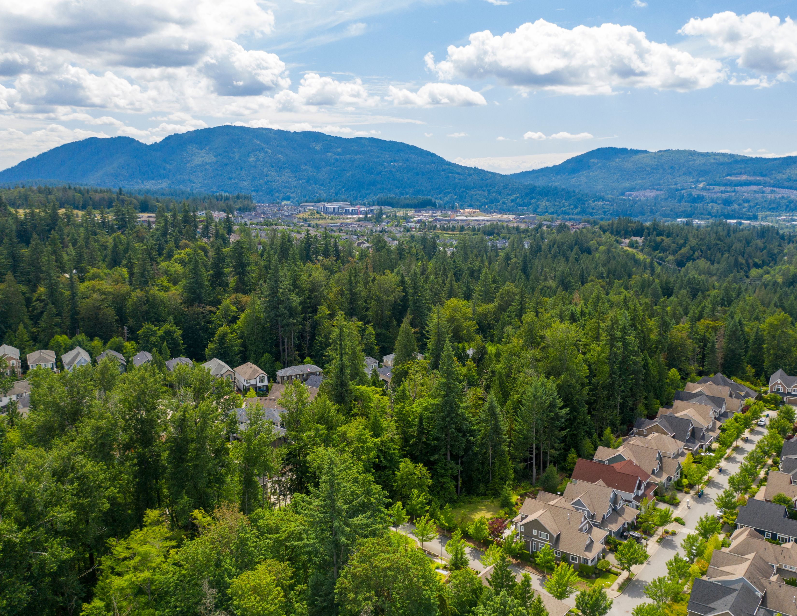 Issaquah Washington State | 