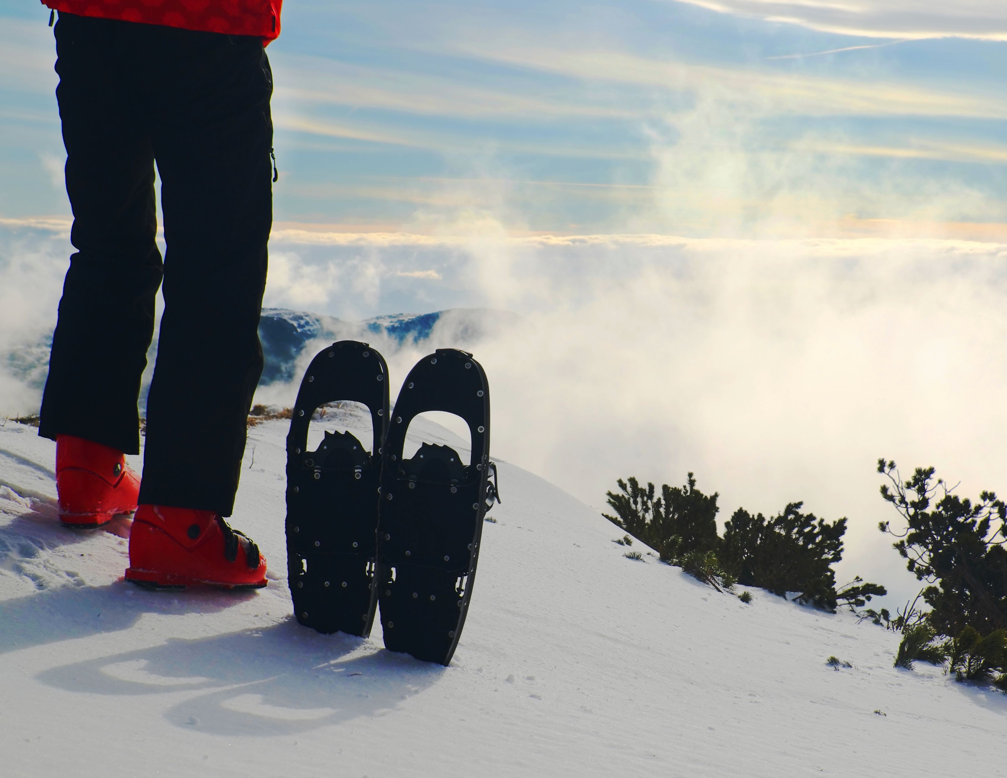 Los Angeles Snowshoes | 