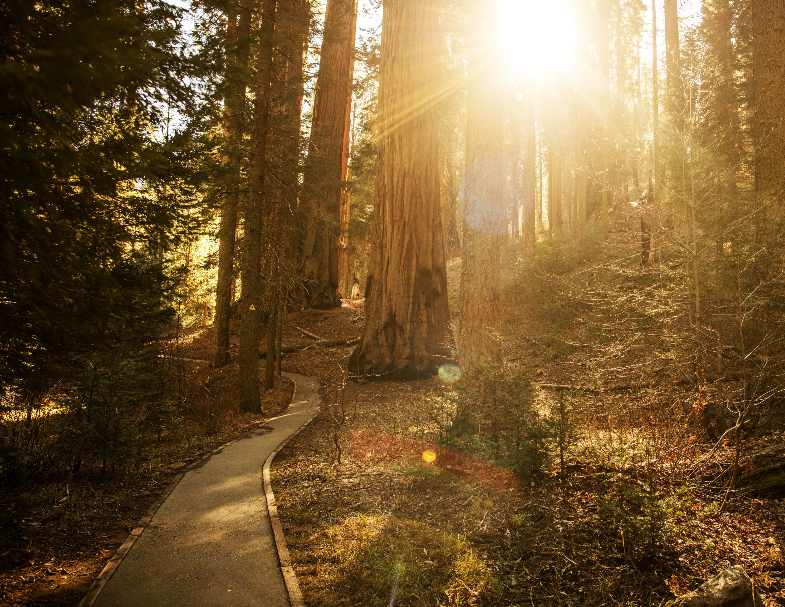 Hiking scenic trails California | 