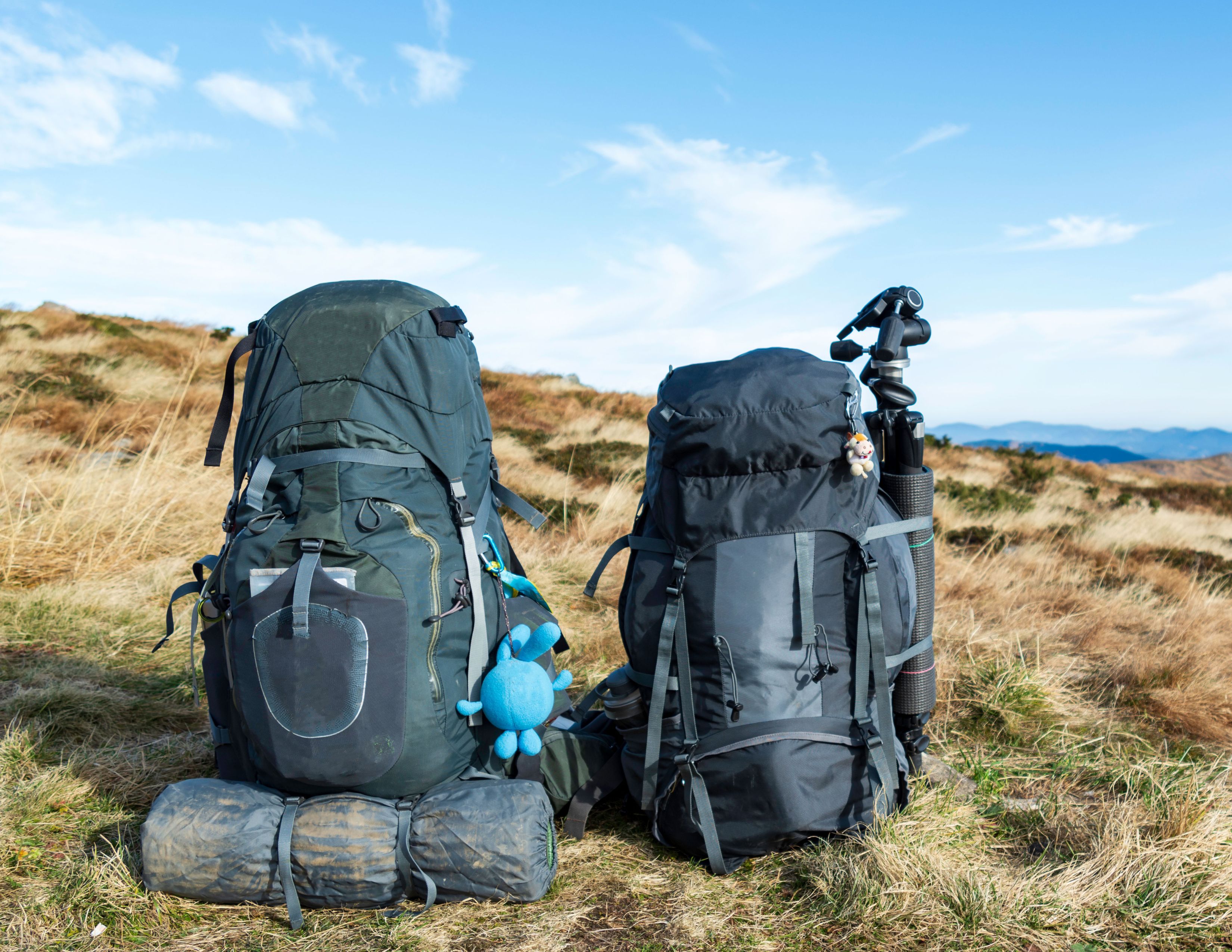 Bellevue Backpacking Pack | 