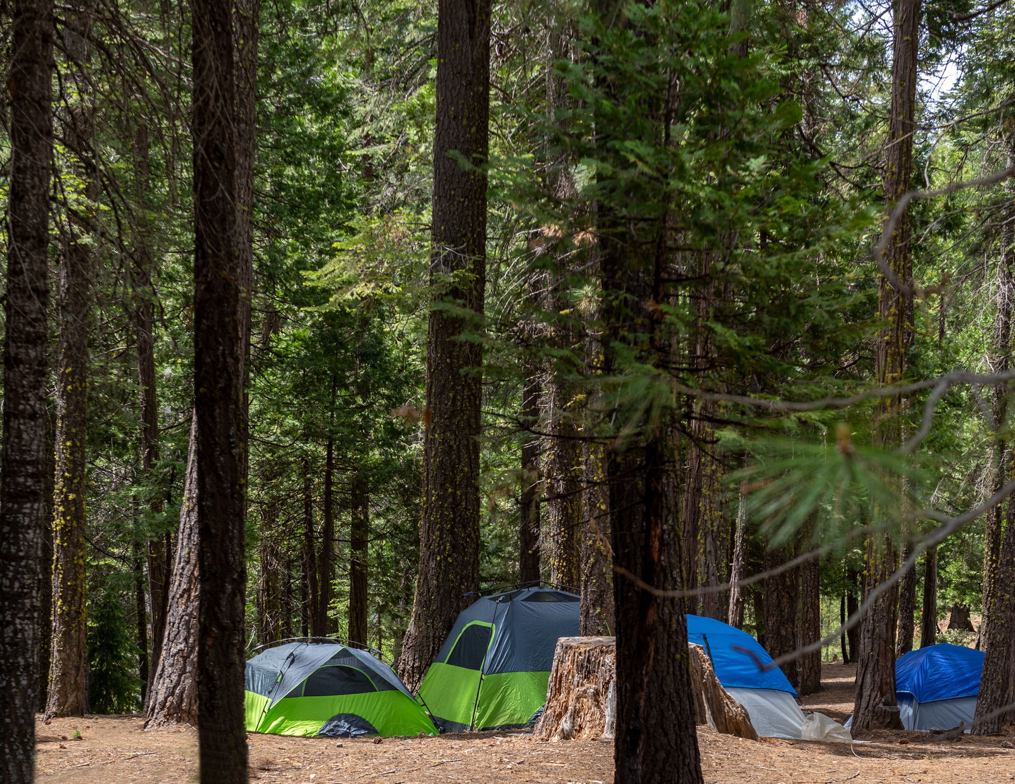 Car Camping Near Elko, Nevada | 