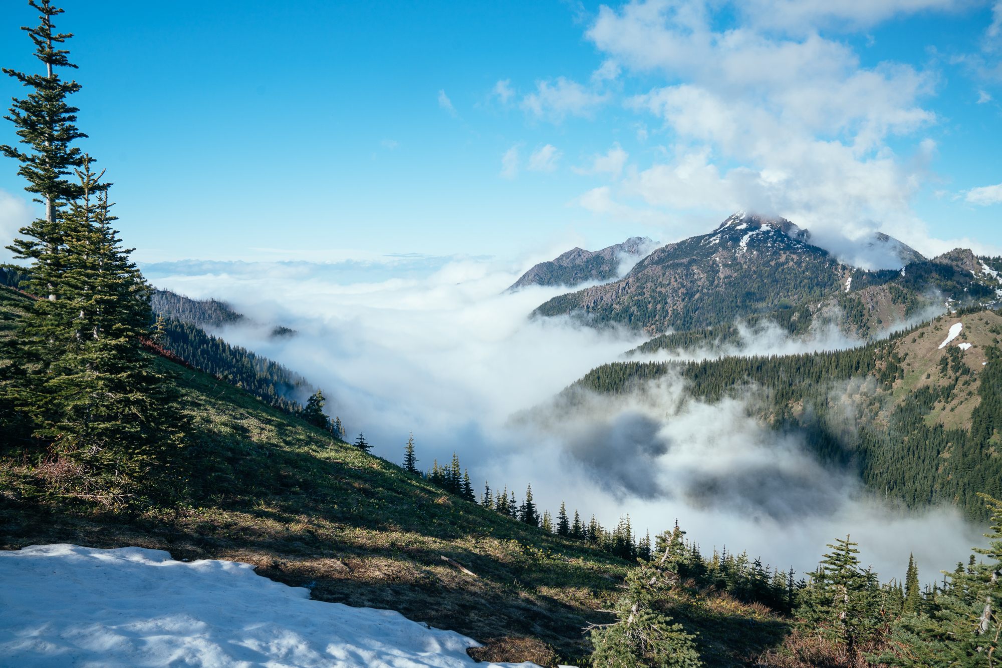 Olympic national park camping | Camping in olympic national park