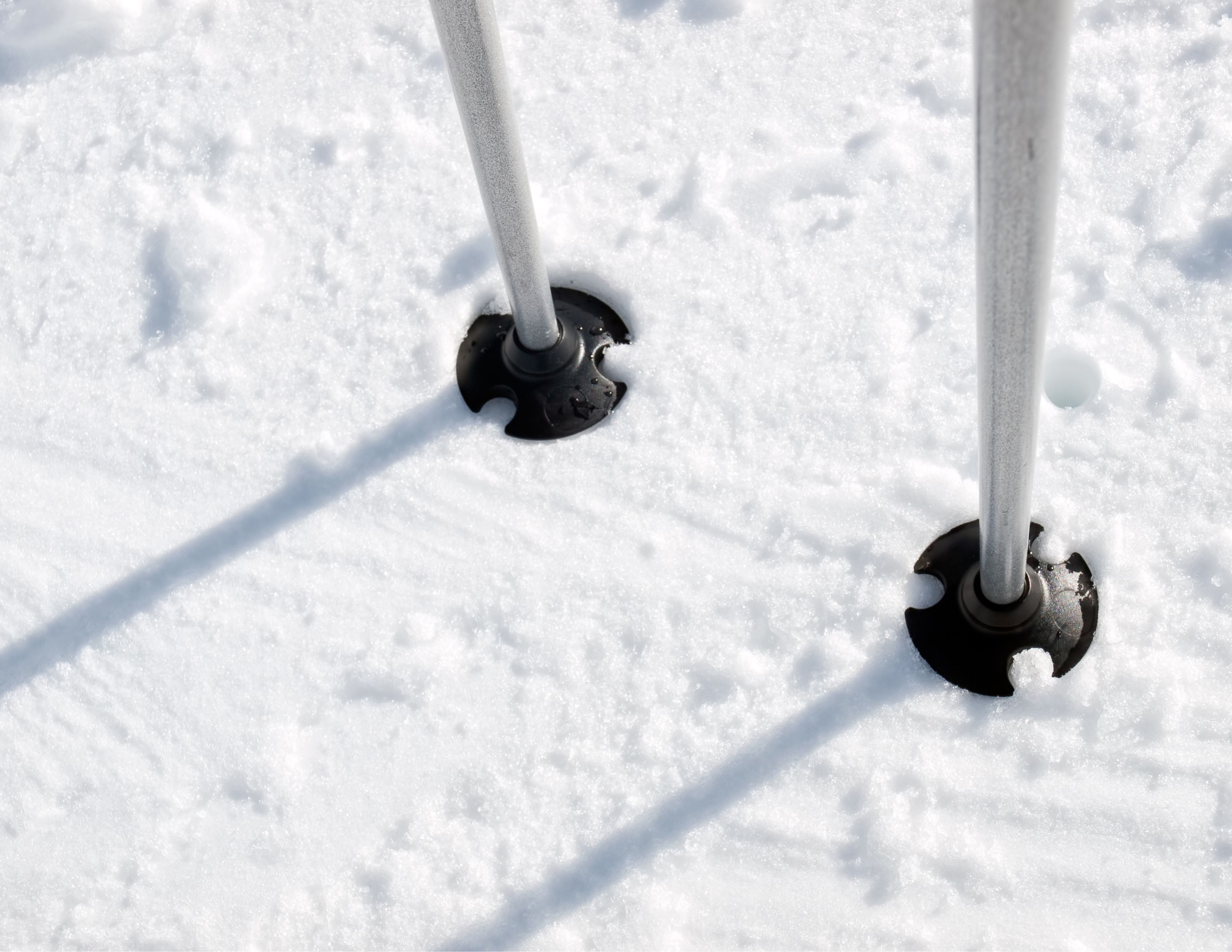 Ski Poles Seattle | 