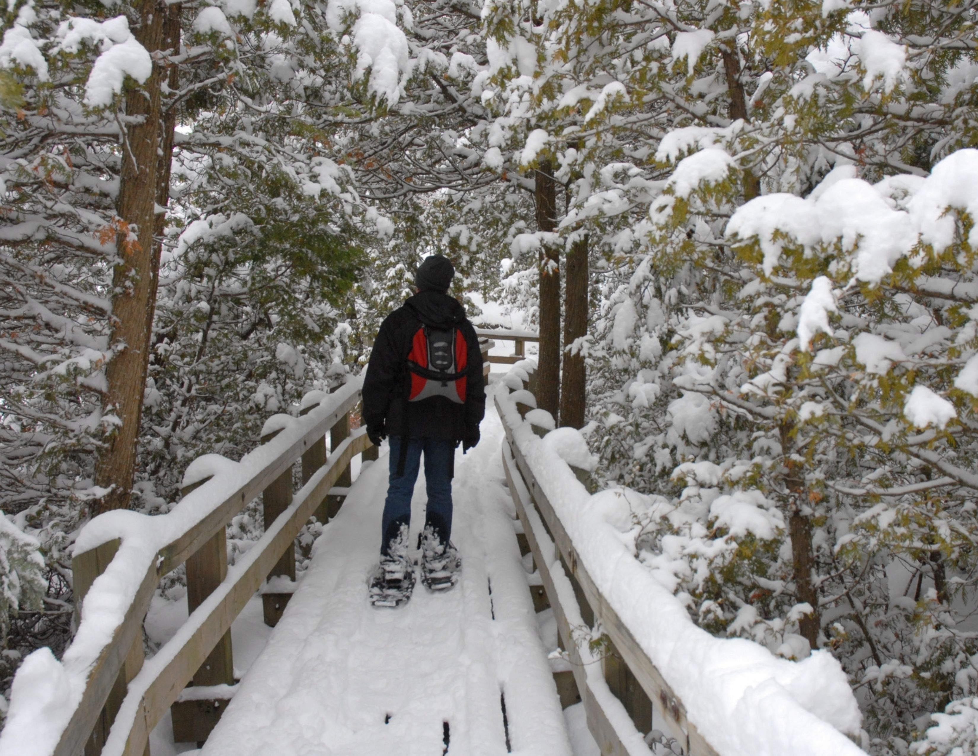 Winter Hiking in Washington