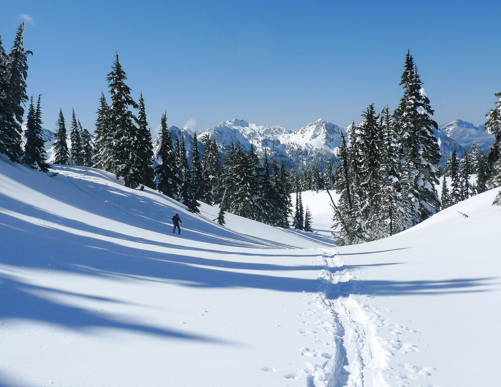 Snowshoeing Panorama Point Mount Rainier