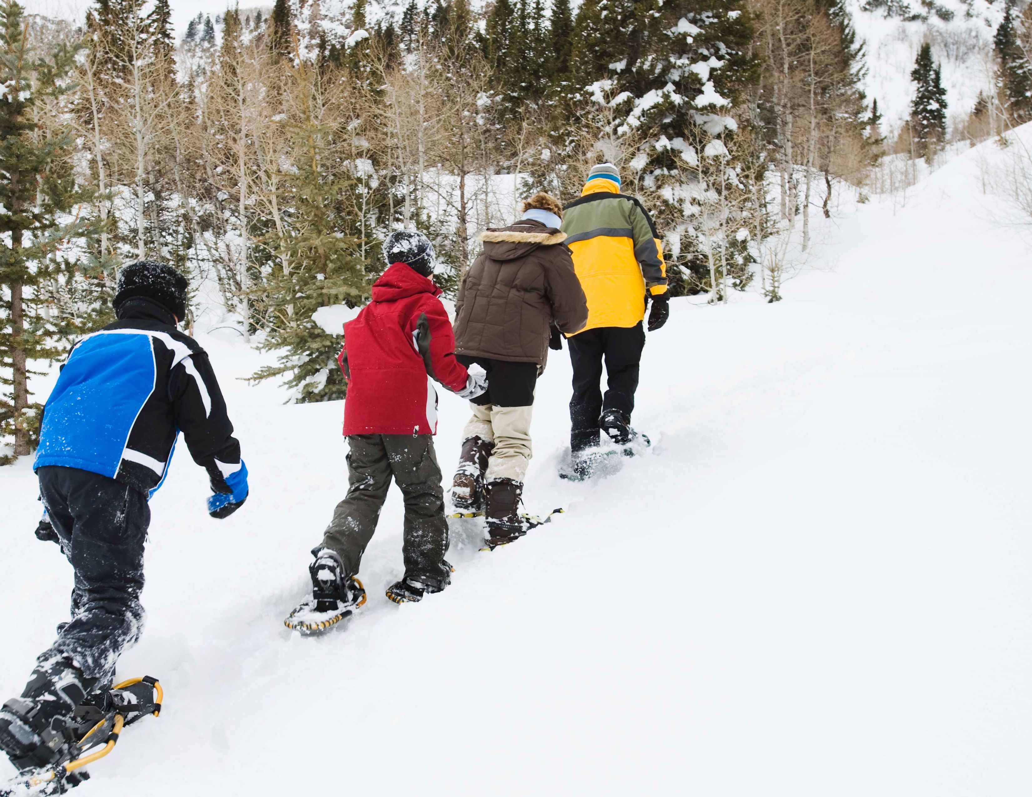 Family Friendly Snowshoe Trails in Seattle