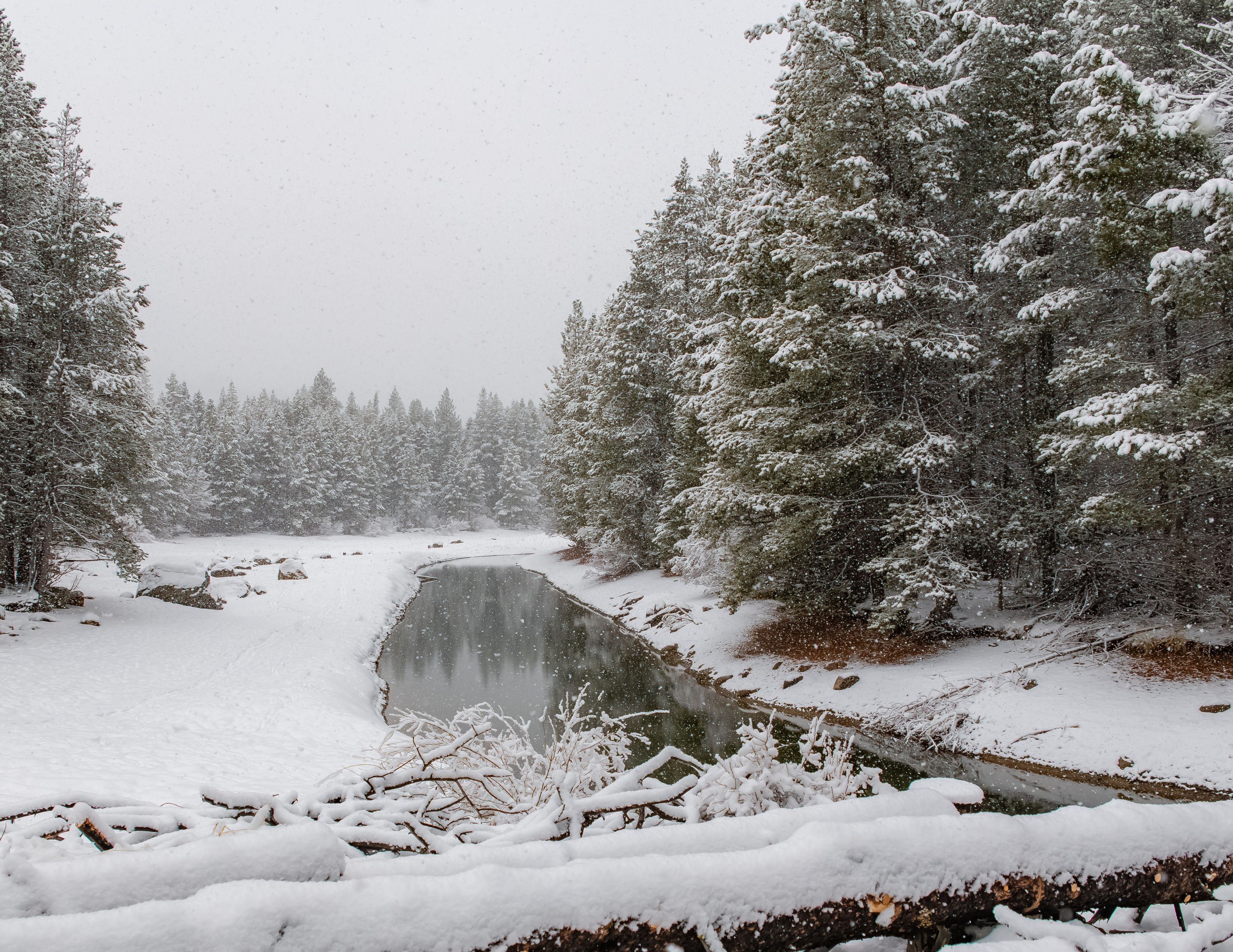 Snoqualmie Winter Snowshoeing Scenery | 