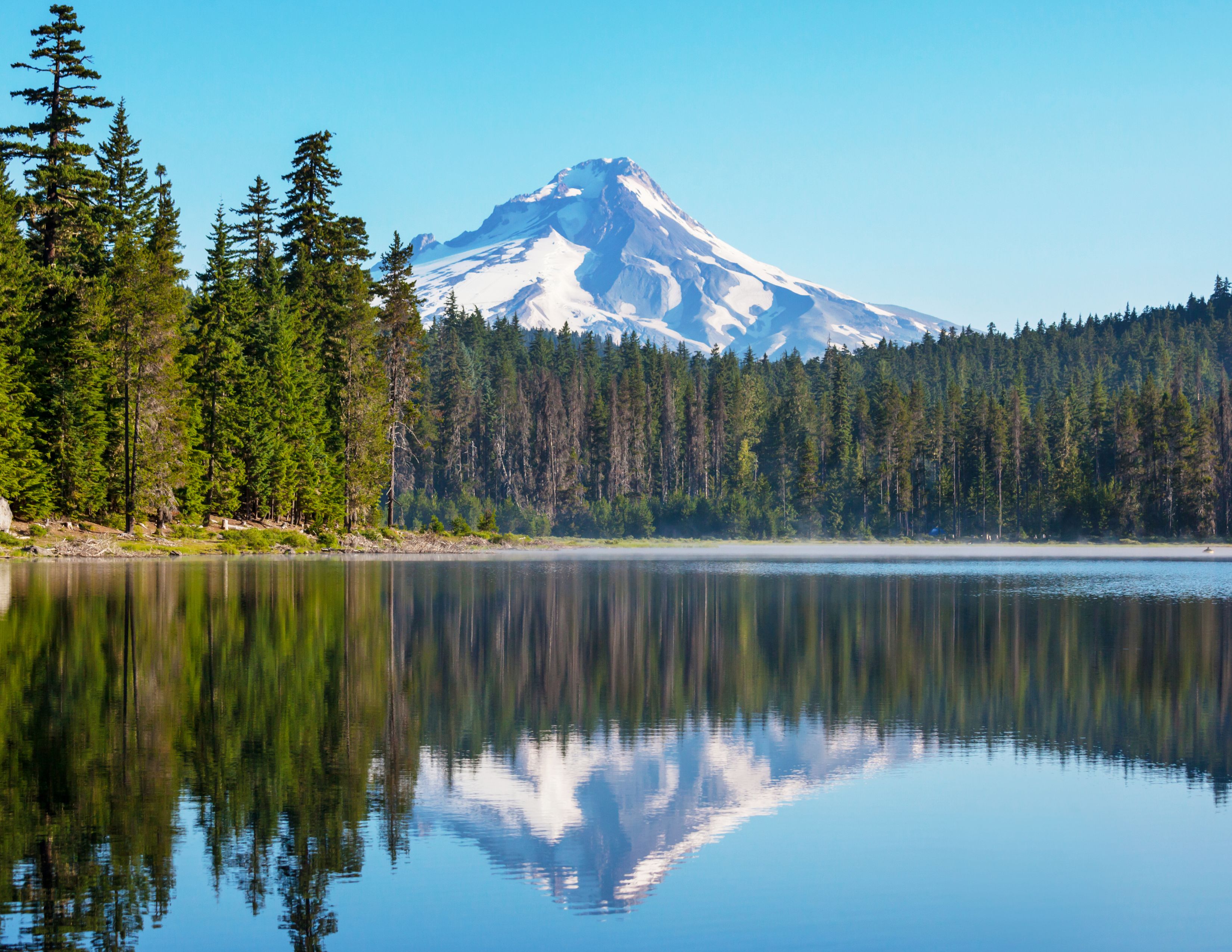 Mount Hood National Forest