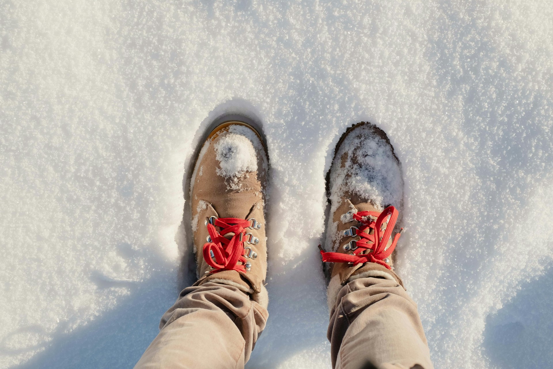 snowshoe hike | snowshoe hike