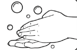 wash-hands