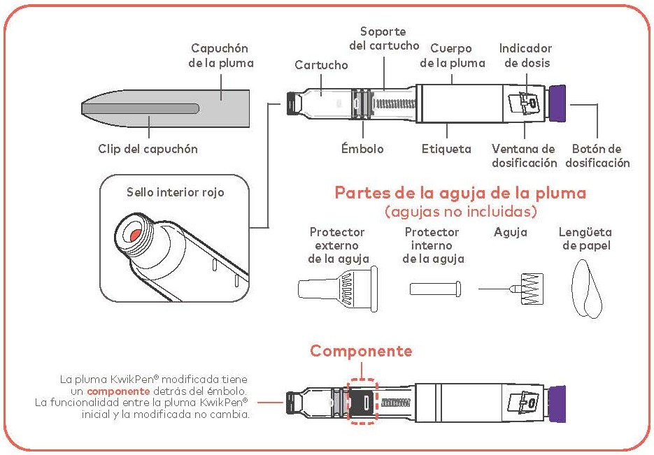 Partes de la pluma