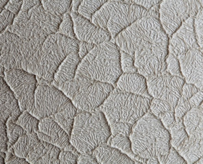 shutterstock 370859708