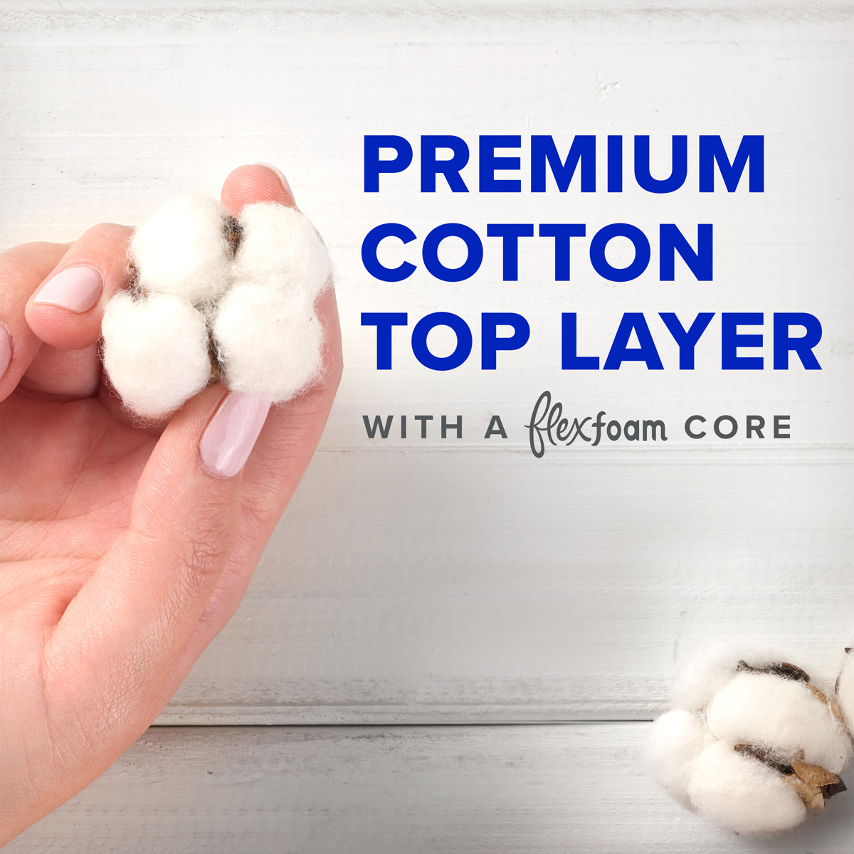Always Pure Cotton with FlexFoam pads have a premium cotton top layer with a FlexFoam core. A hand holds dried cotton buds