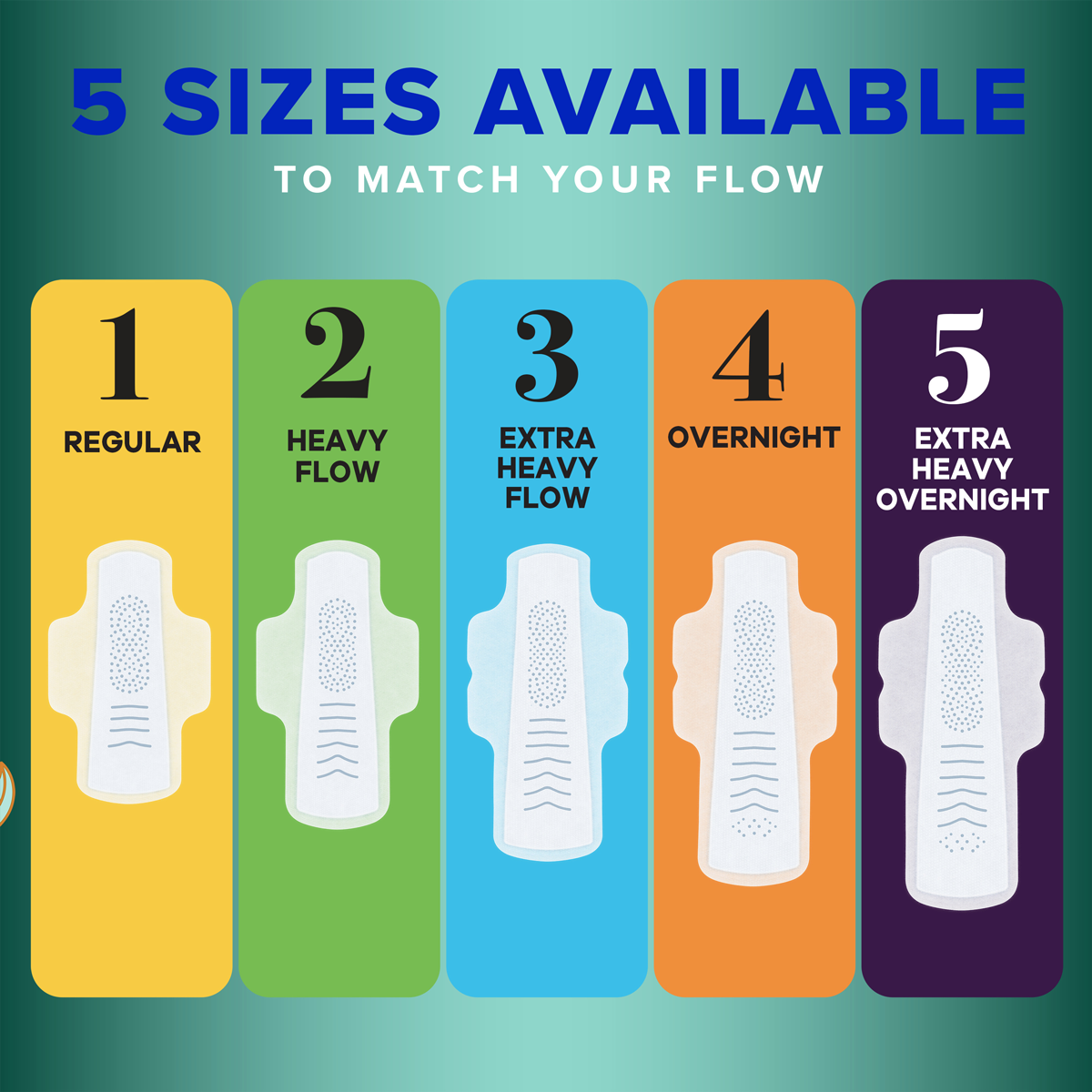 Always Pure Cotton with FlexFoam is available in five sizes to match your flow. Five FlexFoam pads are lined up in increasing absorbency: Regular, Heavy Flow, Extra Heavy Flow, Overnight, and Extra Heavy Overnight. 