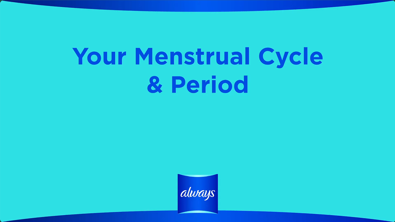 Menstrual Cycle & Periods described in 3 Minutes