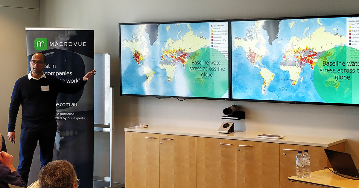Sharesight Macrovue Dev