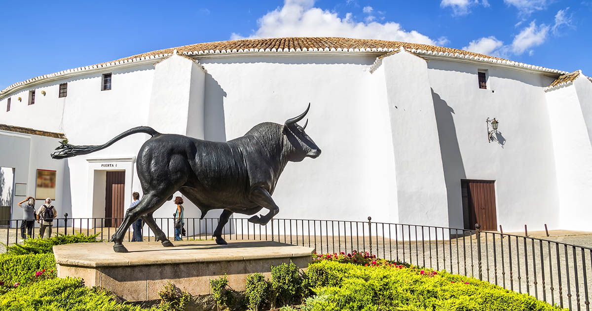 Buy and Hold Bull Market