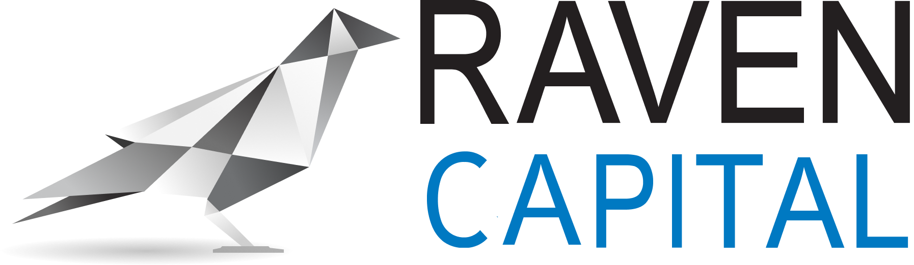 Raven Capital Logo