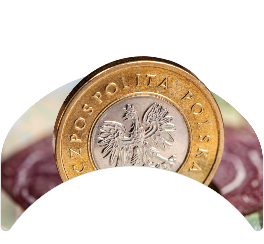 Salary in Poland Difference Between Gross and Net, and How to Calculate