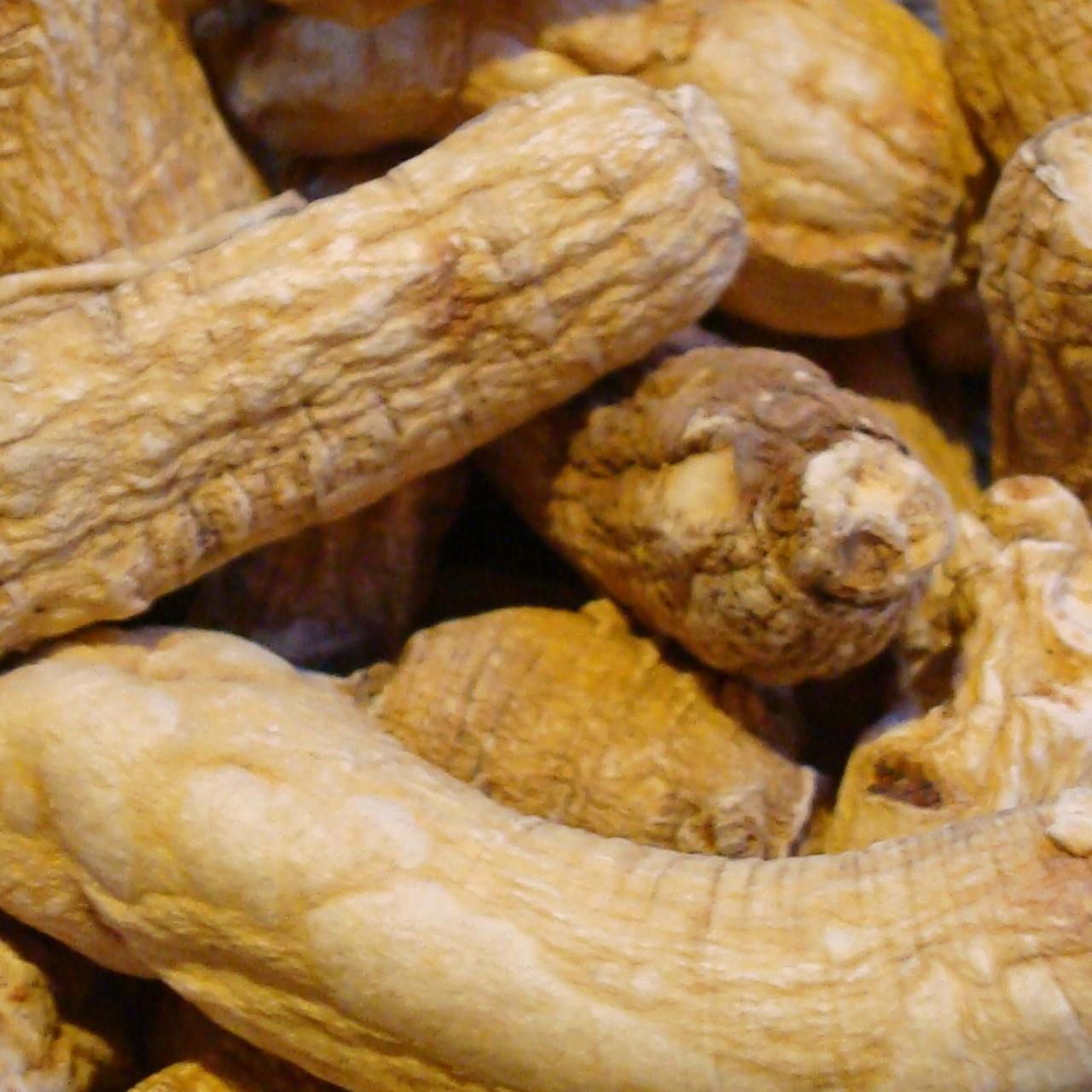 Ren Shen (Radix Ginseng)