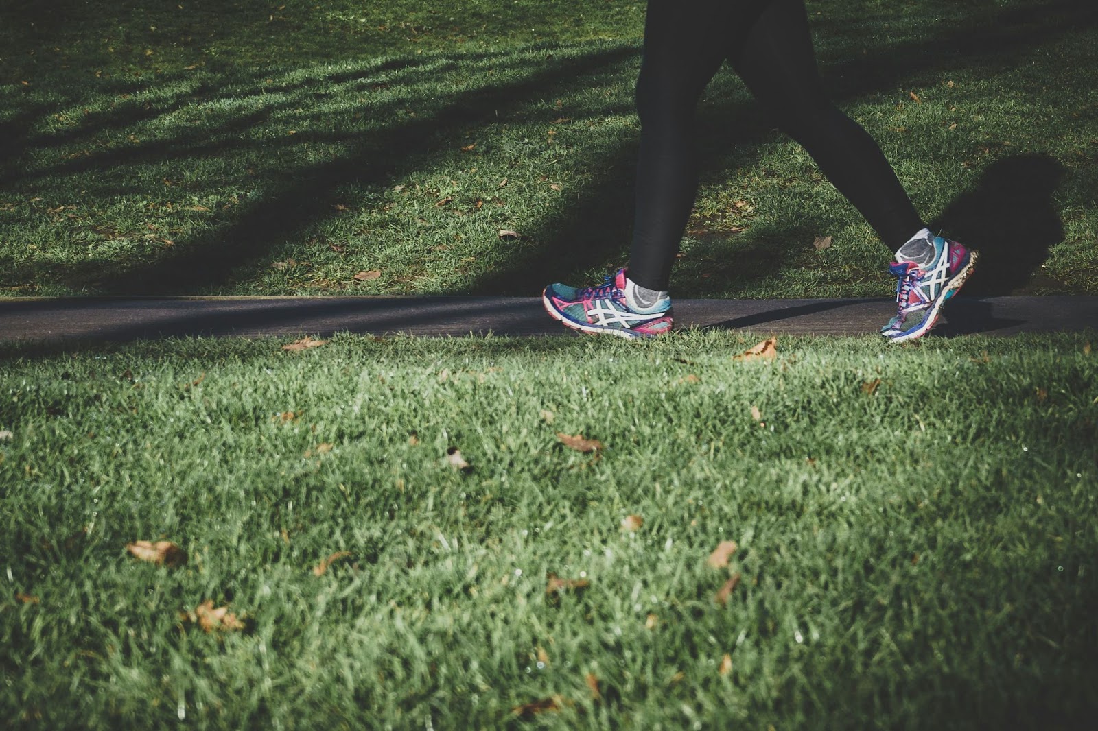 Shallow focus photography of person walking on road between grass