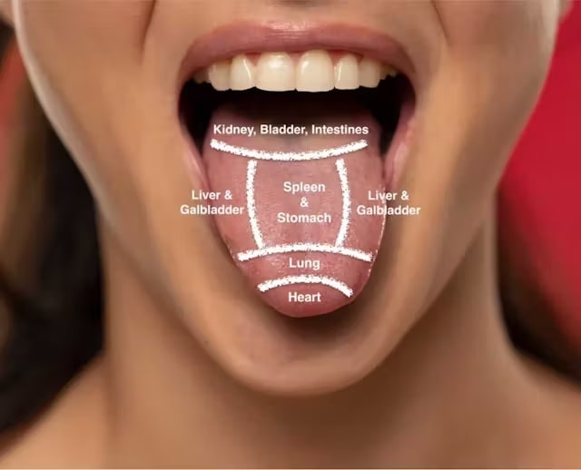 Tongue diagnosis chart for traditional chinese medicine