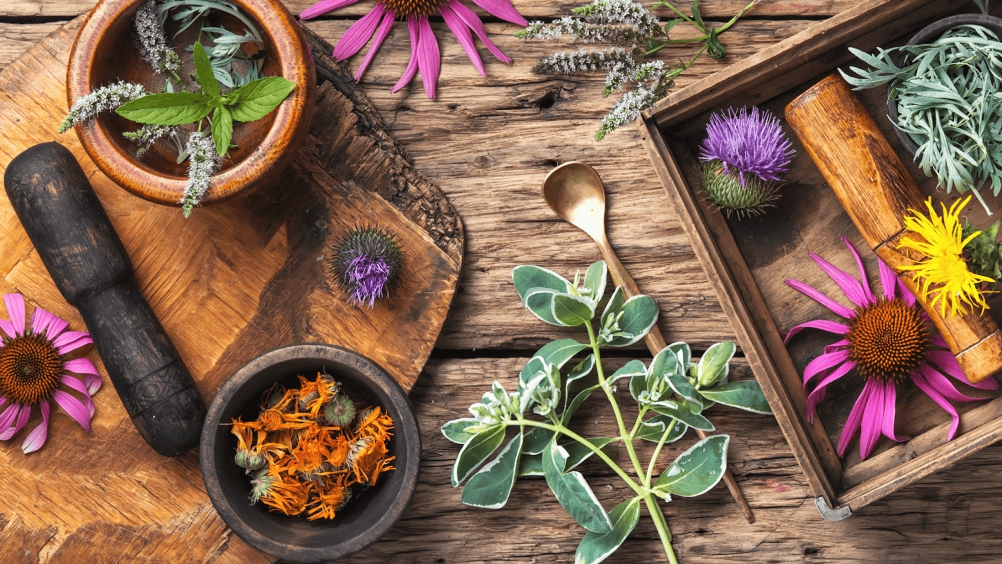 Flowers and herbs on a table with a mortar