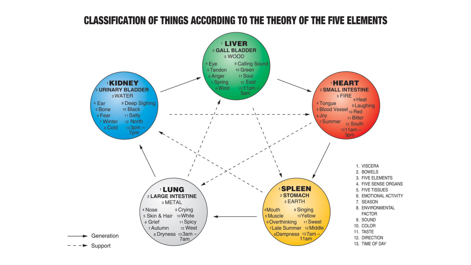 Classification of things according to the theory of the five elements