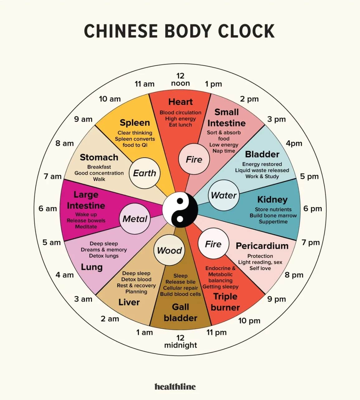 Chinese Body Clock by Healthline