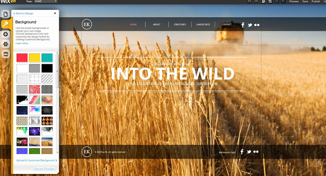 Example of Wix custom website builder