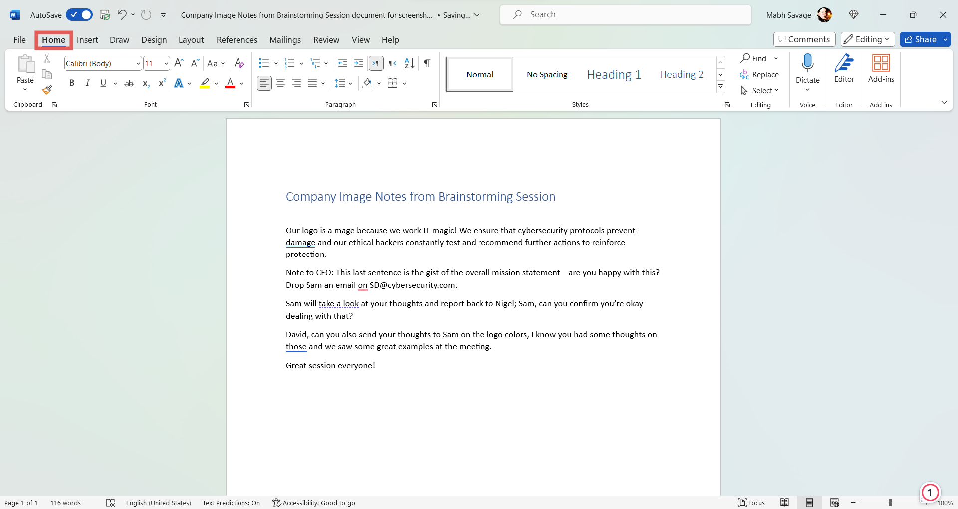 Screenshot of a document in Microsoft Word