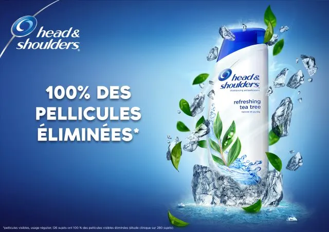 bouteille de shampooing et feuilles d'arbre à thé