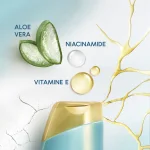 Infographic: DERMA Xᴾᴿᴼ Revitaliser Anti-dandruff Shampoo contains ALOE, NIACINAMIDE, VITAMIN E