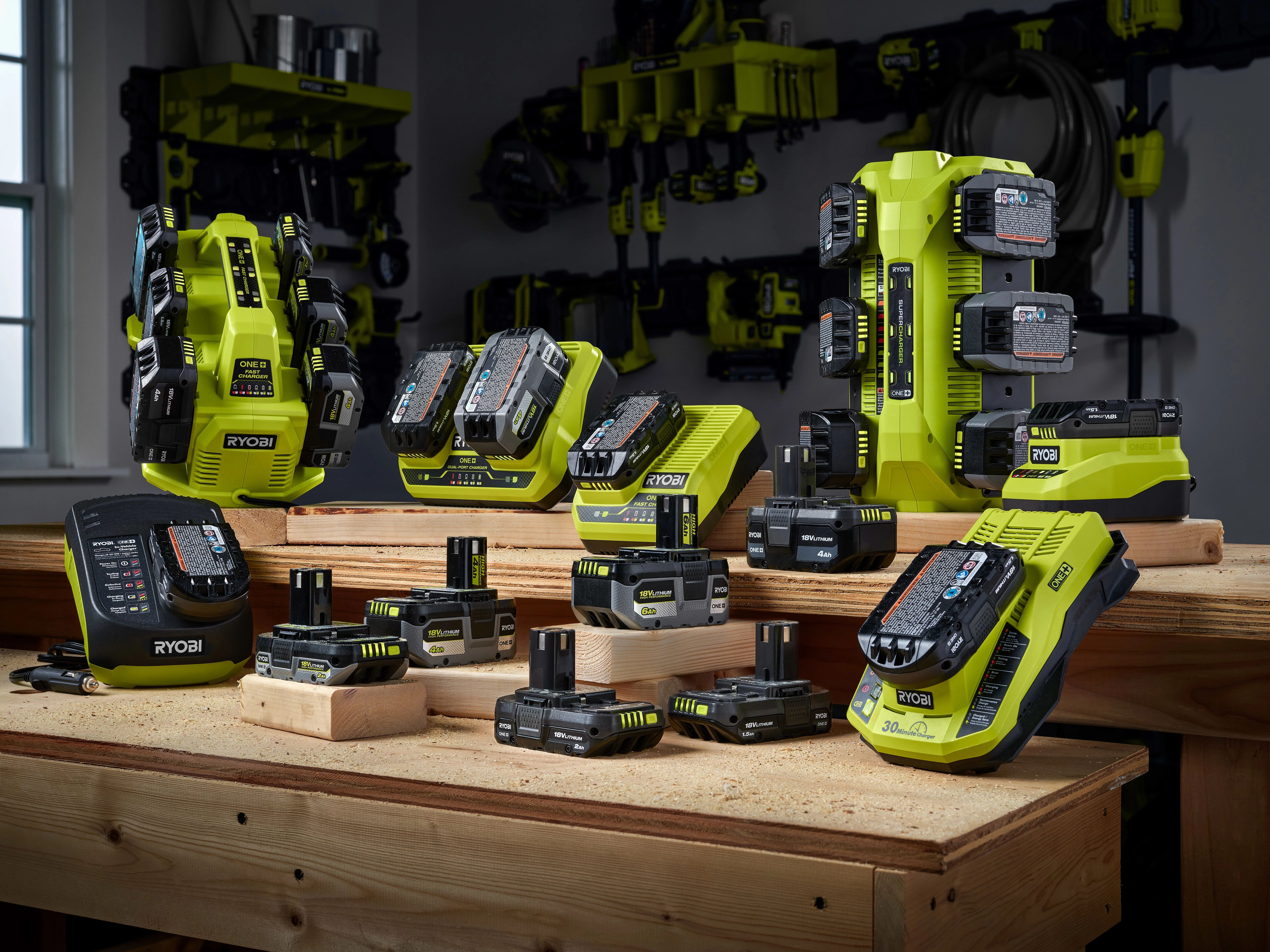 Ryobi store dual charger