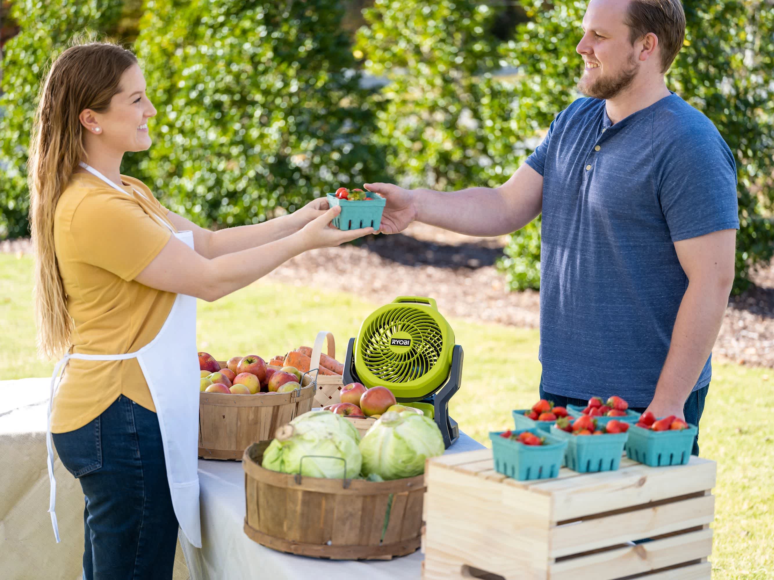 Product Features Image for 18V ONE+ HYBRID WHISPER SERIES 7-1/2" FAN KIT.