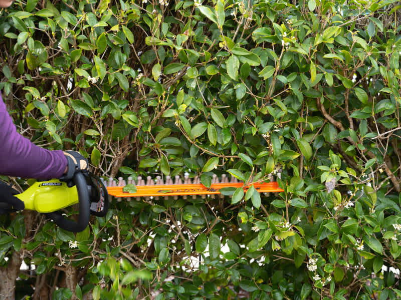 Product Features Image for 18V ONE+ 22" CORDLESS HEDGE TRIMMER (TOOL ONLY).