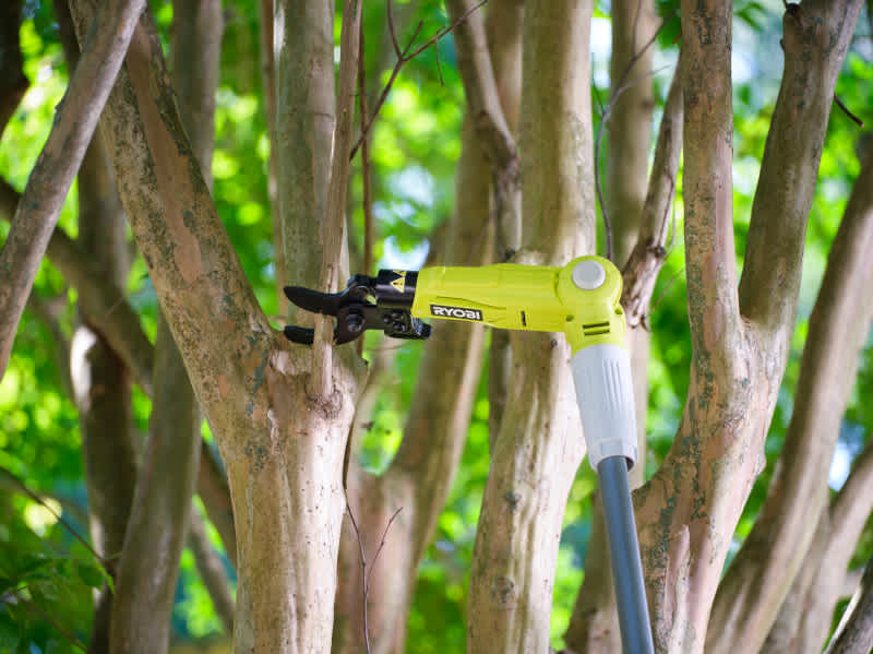 Product Features Image for 18V ONE+ Lithium-Ion Cordless Pole Lopper Kit.