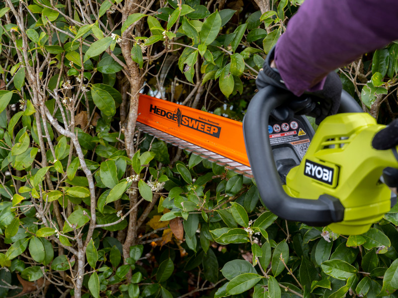 Ryobi 22 cordless on sale hedge trimmer