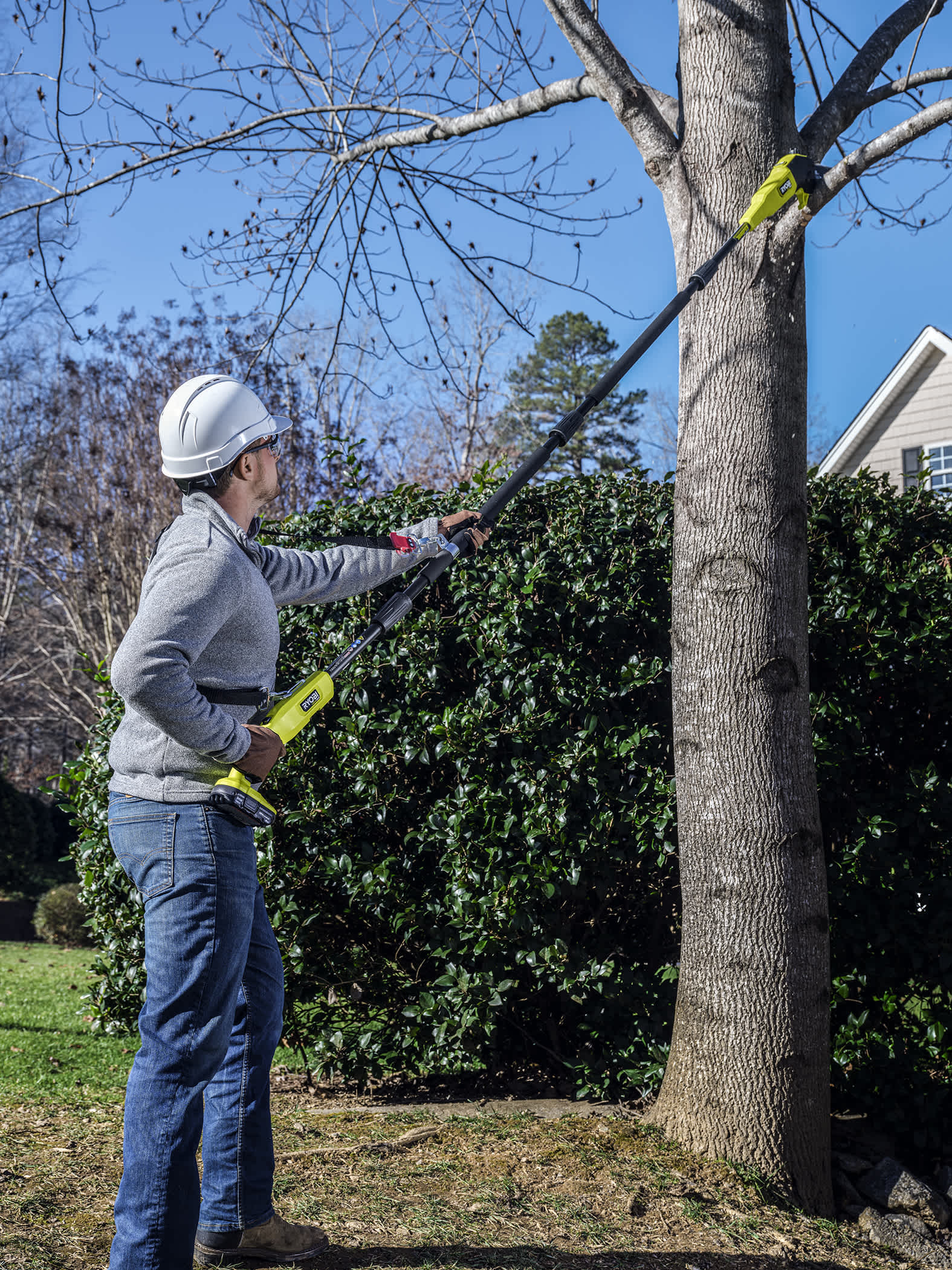 Product Features Image for 18V ONE+ HP Brushless Cordless Whisper-Series 8-inch Pole Saw (Tool-Only).