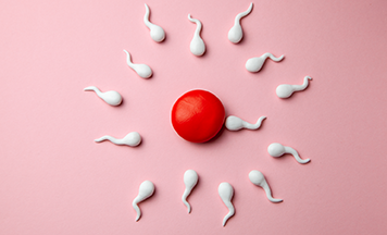 Diferencia entre ovulación y días fértiles