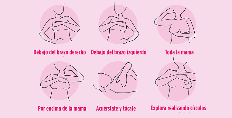 todo-sobre-el-autoexamen 3