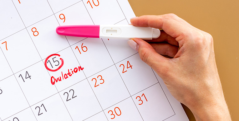 ciclo-mentrual-interna-1