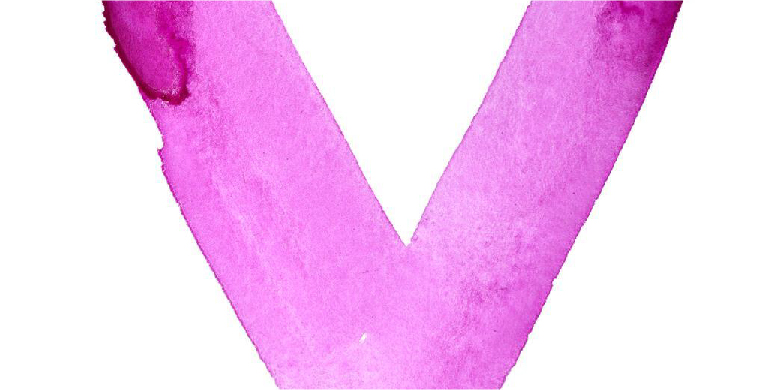 zona-v-mujer-estereotipos-ar-interna-2