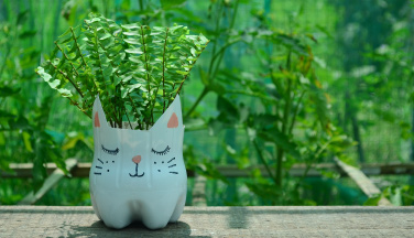 ¿Cómo ser más sostenible y regalarle loving al planeta?