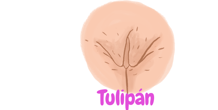 no-todas-las-vaginas-son-iguales-7